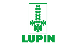 lupin